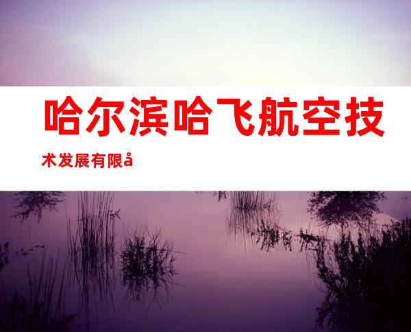 哈尔滨哈飞航空技术发展有限公司